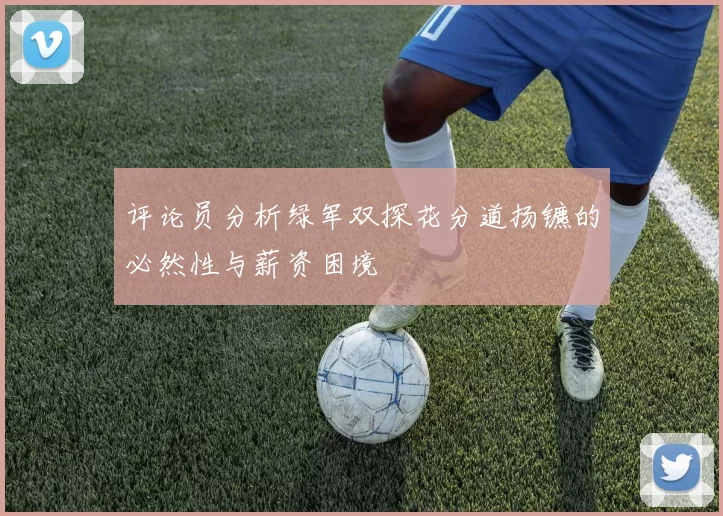 评论员分析绿军双探花分道扬镳的必然性与薪资困境